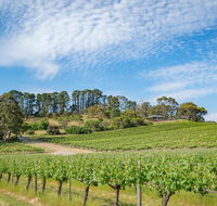 McLaren Vale Getaways - Foster Accommodation