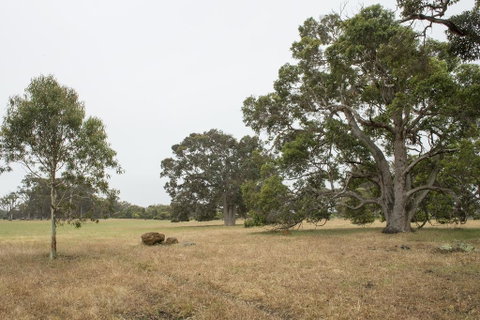 Metricup House - Elegant Country Retreat - Foster Accommodation 2