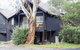 Milkwood - thumb 0