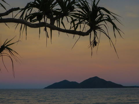 Mission Beach Hideaway Holiday Village - Foster Accommodation 1
