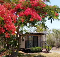 Mt Larcom Tourist Park - Foster Accommodation