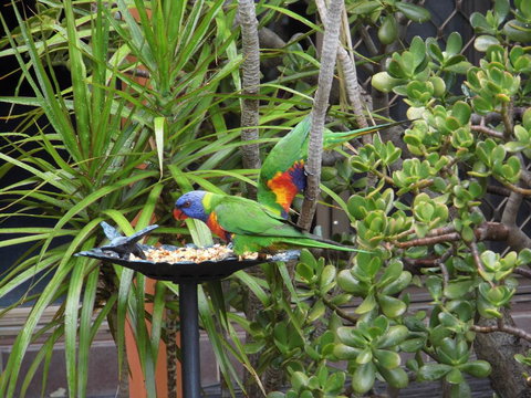 Nanango Fitzroy Motel - Foster Accommodation 2