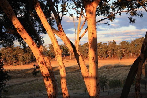 Hotham Ridge Estate - Foster Accommodation 30