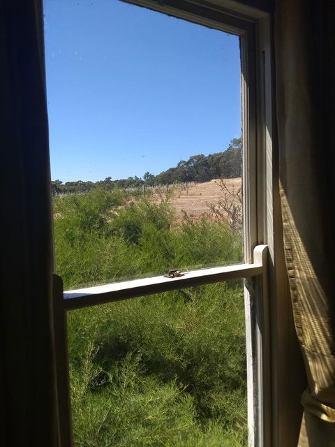 Hotham Ridge Estate - Foster Accommodation 8