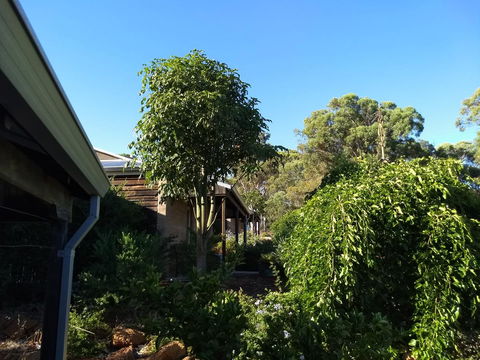 Hotham Ridge Estate - Foster Accommodation 5