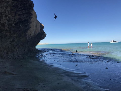 Peoples Park - Foster Accommodation 36