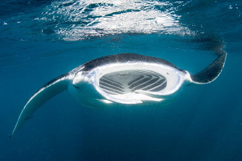 Peoples Park - Foster Accommodation 32