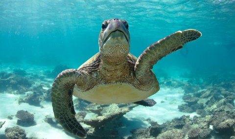 Peoples Park - Foster Accommodation 31