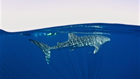 Peoples Park - Foster Accommodation 33