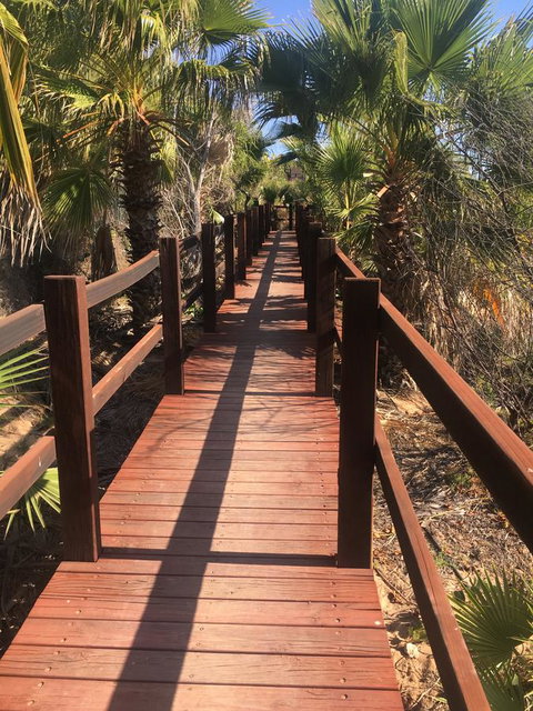 Peoples Park - Foster Accommodation 10