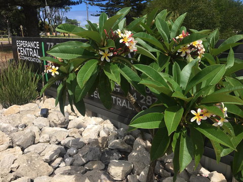 Esperance Central Accommodation - Foster Accommodation 3