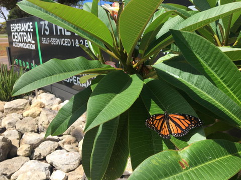 Esperance Central Accommodation - Foster Accommodation 9