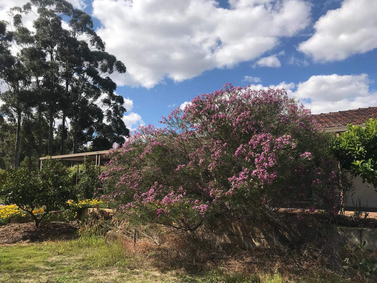  Foster Accommodation