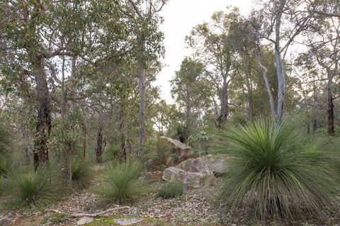 A Hidden Bush Delight - Foster Accommodation 23