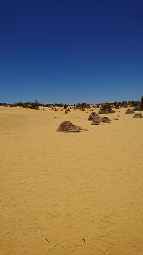The Bothy Lancelin Family Retreat - Foster Accommodation 35