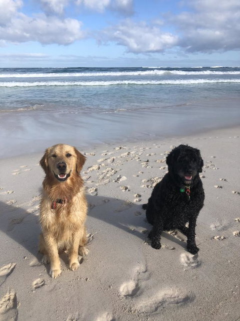 The Bothy Lancelin Family Retreat - Foster Accommodation 32