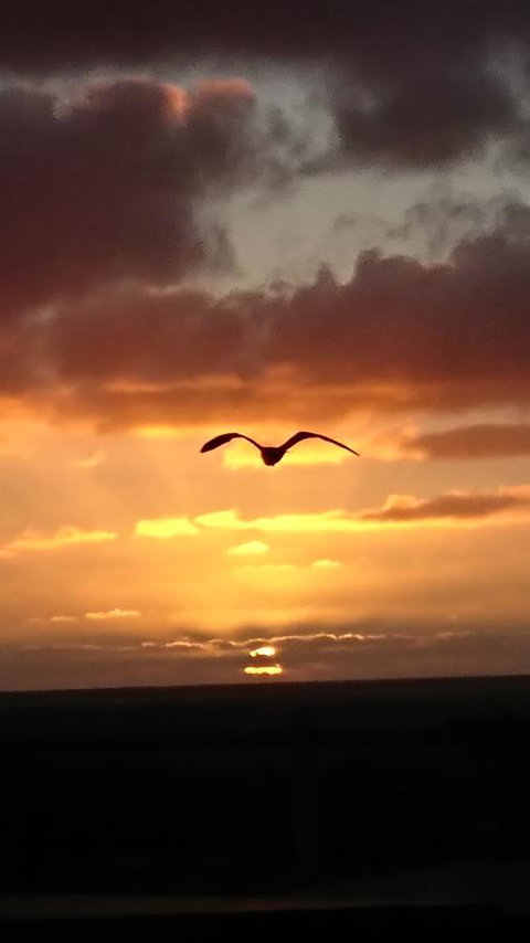 The Bothy Lancelin Family Retreat - Foster Accommodation 28