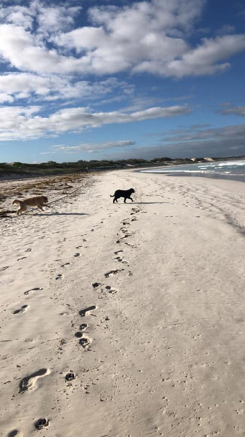 The Bothy Lancelin Family Retreat - Foster Accommodation 30