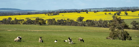 Kendenup Cottages And Lodge - Foster Accommodation 44