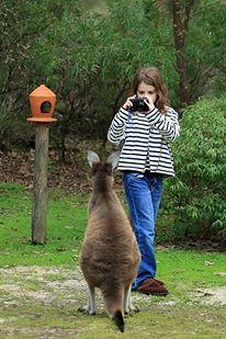 Yelverton Brook Conservation Sanctuary - Foster Accommodation 39