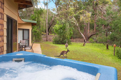 Yelverton Brook Conservation Sanctuary - Foster Accommodation 9