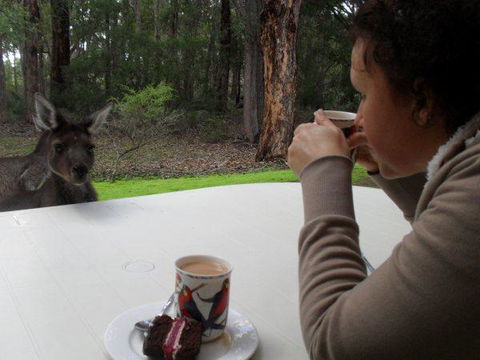Yelverton Brook Conservation Sanctuary - Foster Accommodation 44