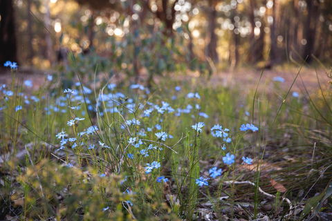 Amaroo Retreat & Spa - Foster Accommodation 15