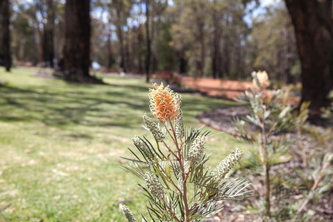Amaroo Retreat & Spa - Foster Accommodation 19