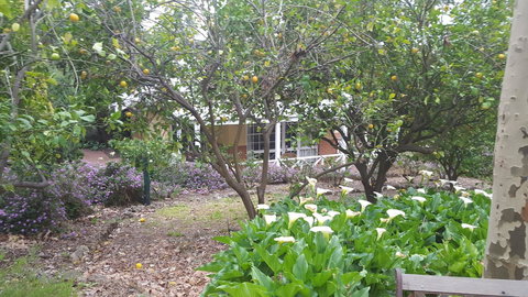 Two Sisters Chalets - Foster Accommodation 15