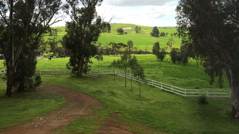 Daisy Cottage - Foster Accommodation 22