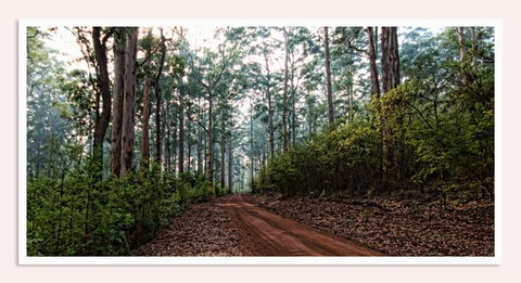 Oak Tree Barn Bridgetown - Foster Accommodation 14
