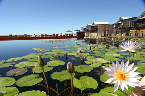 Mantarays Ningaloo Beach Resort - Foster Accommodation 4