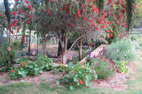 Bentwood Olive Grove Accommodation - Foster Accommodation 21