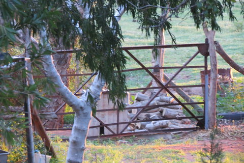 Bentwood Olive Grove Accommodation - Foster Accommodation 25