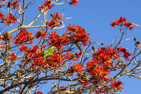 Como Executive Apartment - Foster Accommodation 19