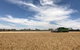 The Mains Guest House 2 Bedroom Farm Stay - thumb 17