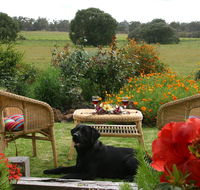 Silversprings cottages - Foster Accommodation