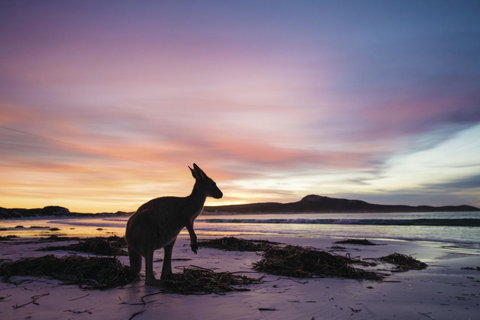 Esperance YHA - Foster Accommodation 20