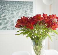 On The Beach Waterfront Apartment - Foster Accommodation