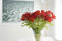 Book Kingston Beach Accommodation Vacations Foster Accommodation Foster Accommodation