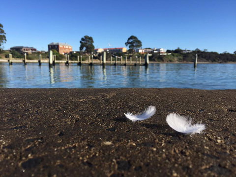 Swansea Holiday Park Tasmania - Foster Accommodation 39