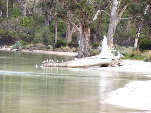 The Boat Shed - Foster Accommodation 12