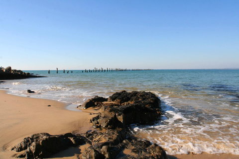 Bridport Holiday Rental - Foster Accommodation 7