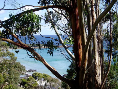 Seascape Beach House - Foster Accommodation 8