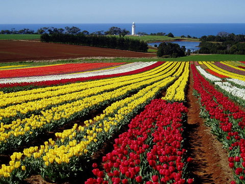 Seascape Beach House - Foster Accommodation 27