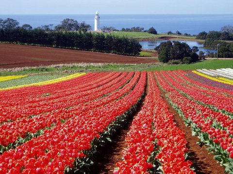 Seascape Beach House - Foster Accommodation 26