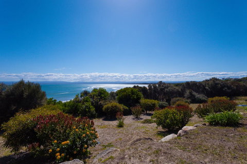 Banksy's By The Bay - Foster Accommodation 16