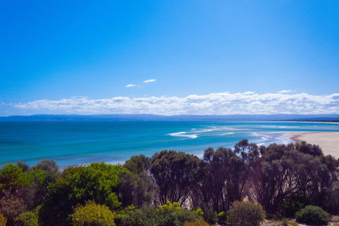 Banksy's By The Bay - Foster Accommodation 15