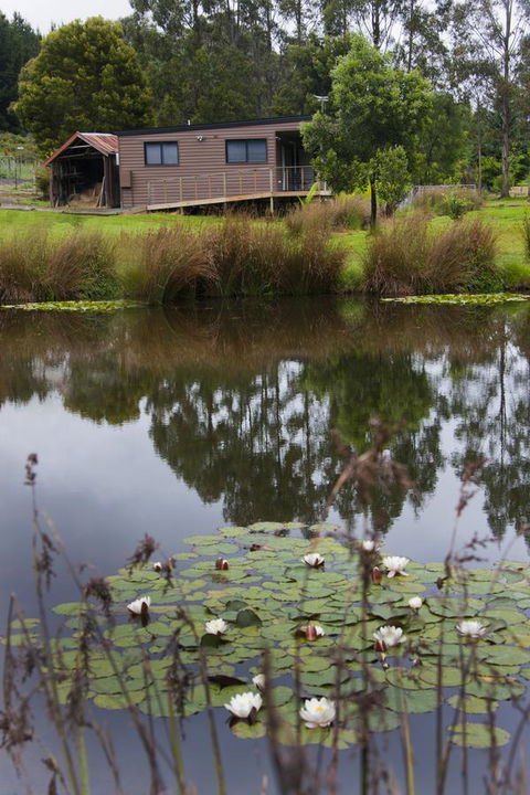 Tyenna River Cottages - Foster Accommodation 13