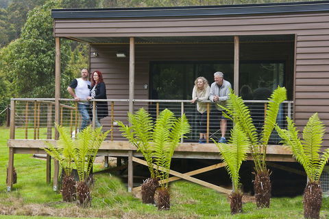 Tyenna River Cottages - Foster Accommodation 15